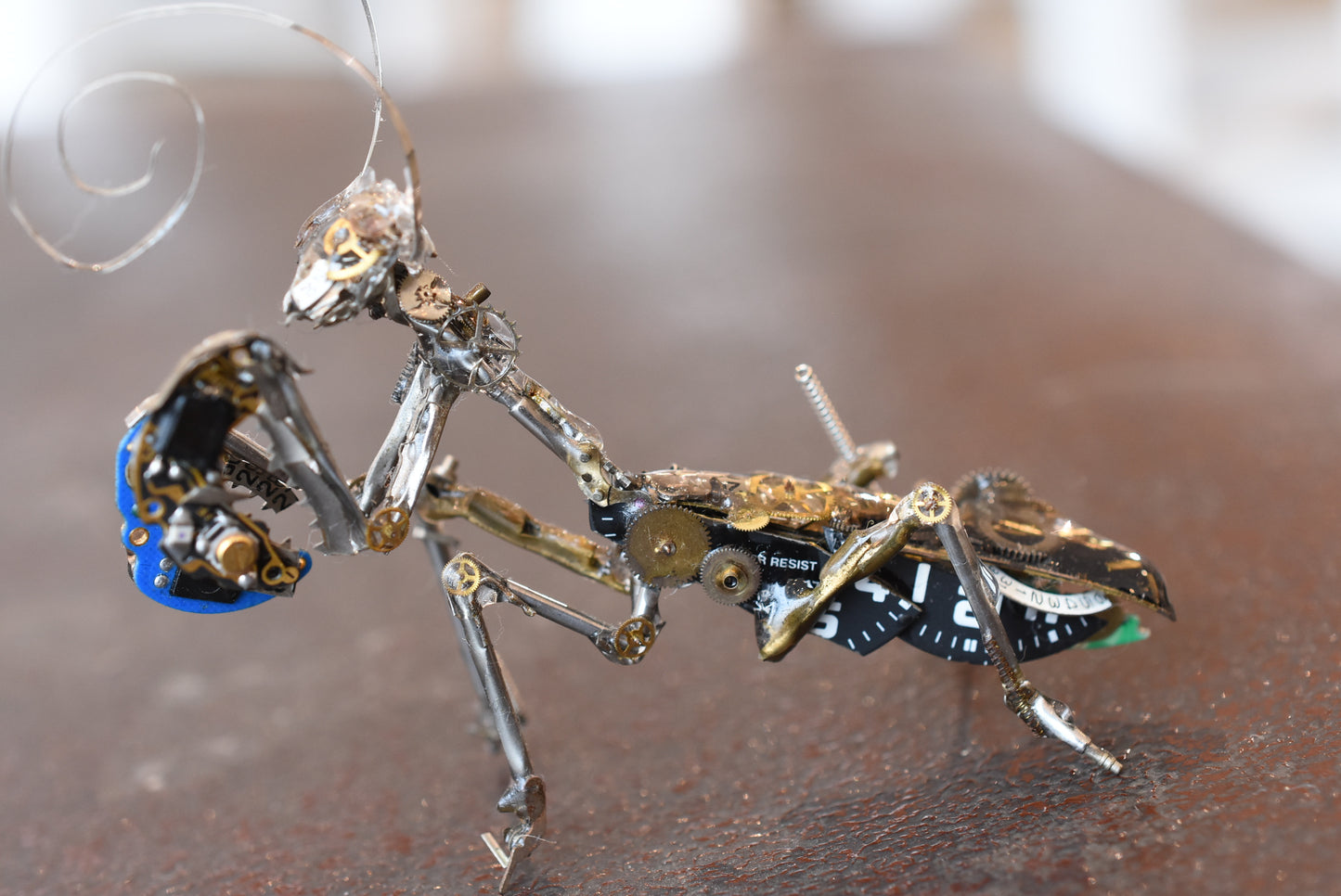 時間を狩るカマキリ